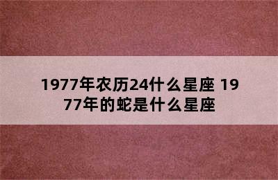 1977年农历24什么星座 1977年的蛇是什么星座